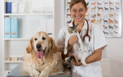 Perché è importante vaccinare cane e gatto e gli altri animali da compagnia?