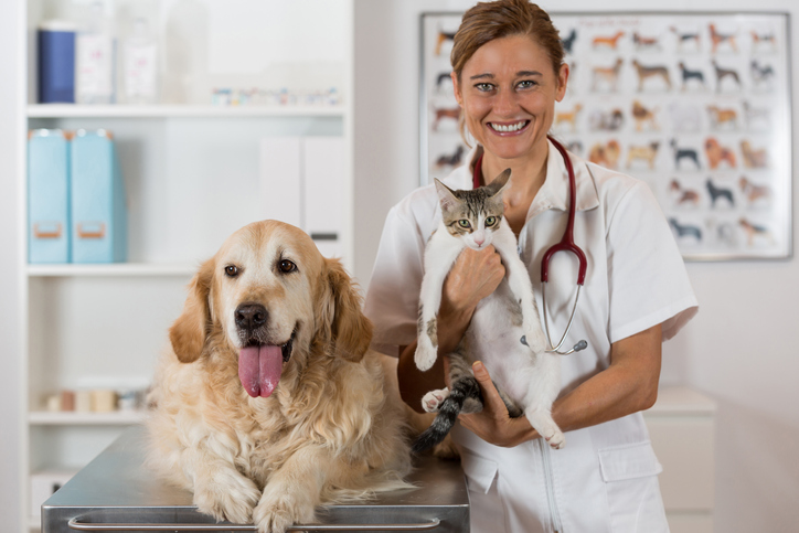 Perché è importante vaccinare cane e gatto e gli altri animali da compagnia?