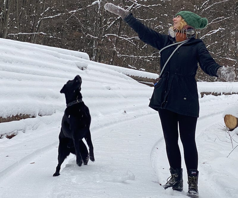 Il mio cane zoppica Cosa posso fare? Animale Salute